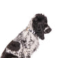 Hemp Dog Collar - Pebble Black Brush Stroke Print
