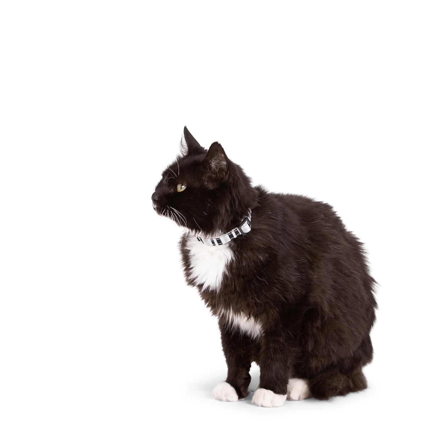Hemp Cat Collar - Pebble Black Brush Stroke Print