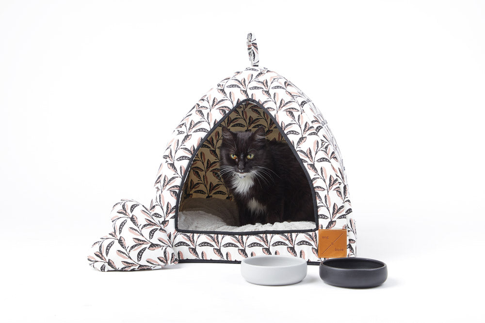 Cat Igloo - Shadow Quartz Print