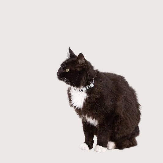 Cat Collar - Hemp - Pebble Black Brush Stroke Print