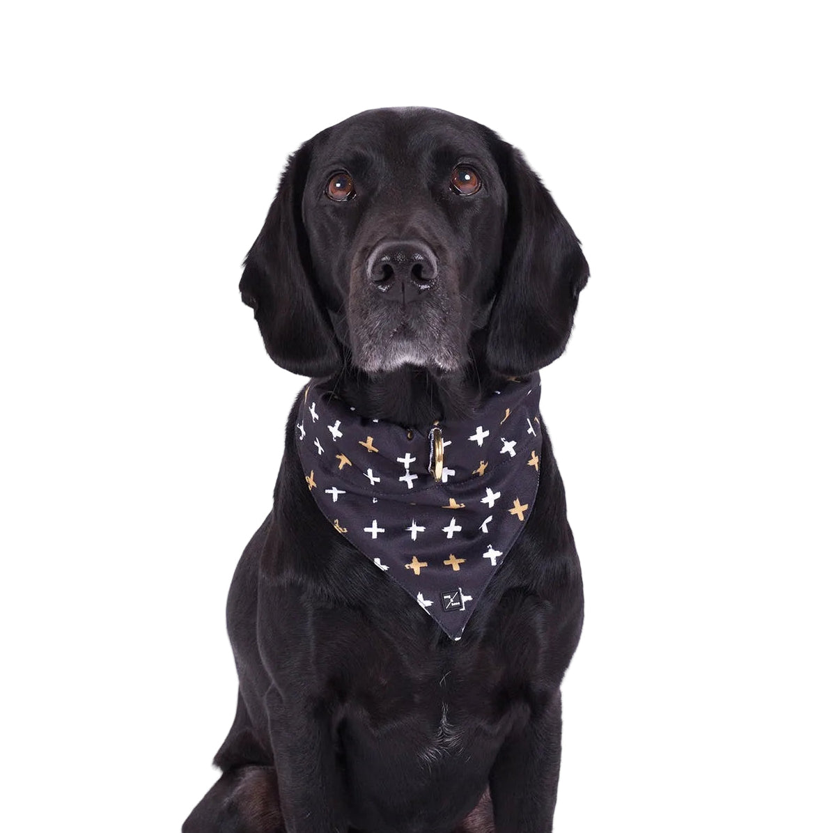 Mog and Bone Dog Accessories Banadana - Black Metallic Cross