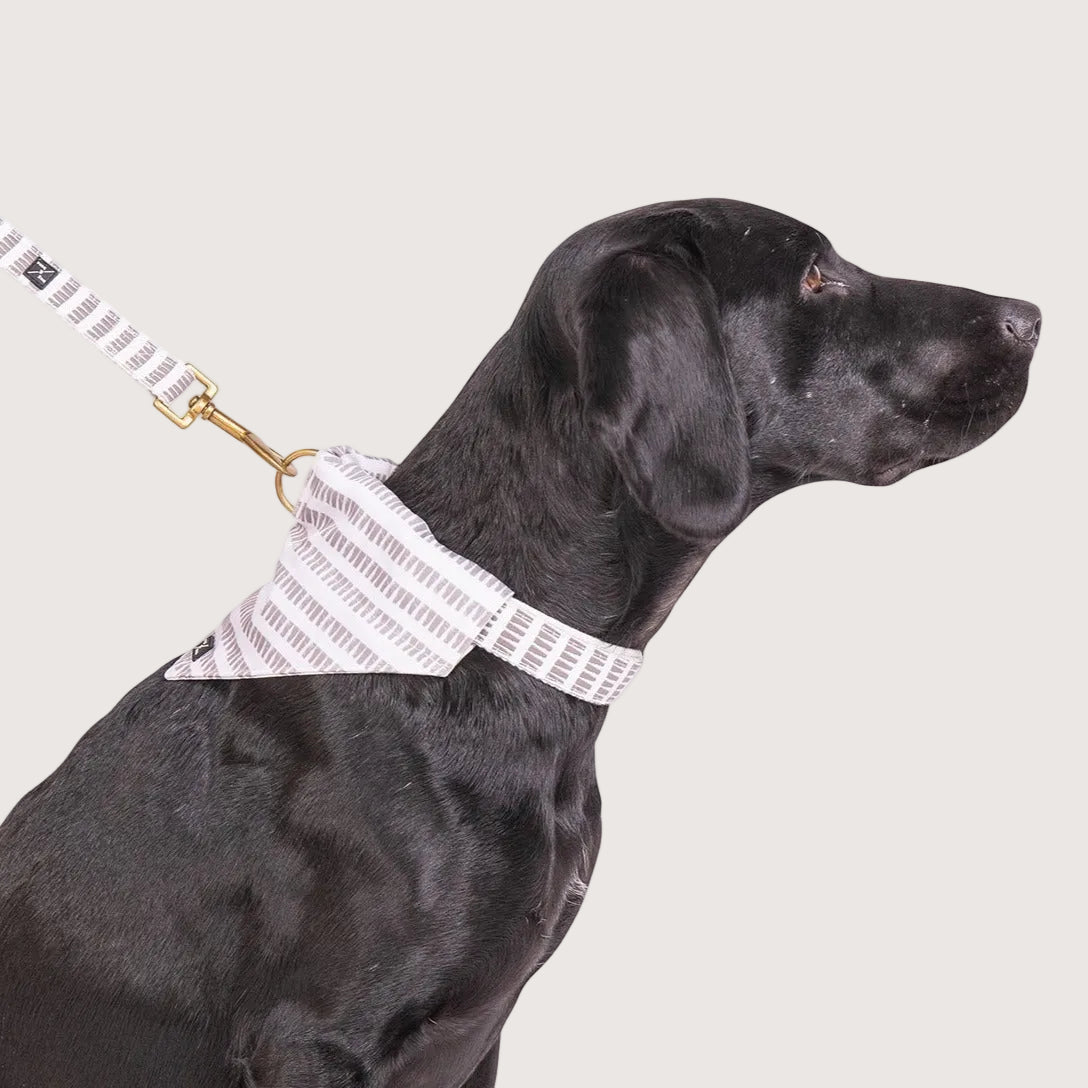 Mog and Bone Dog Accessories Banadana - Latte Mosaic Print