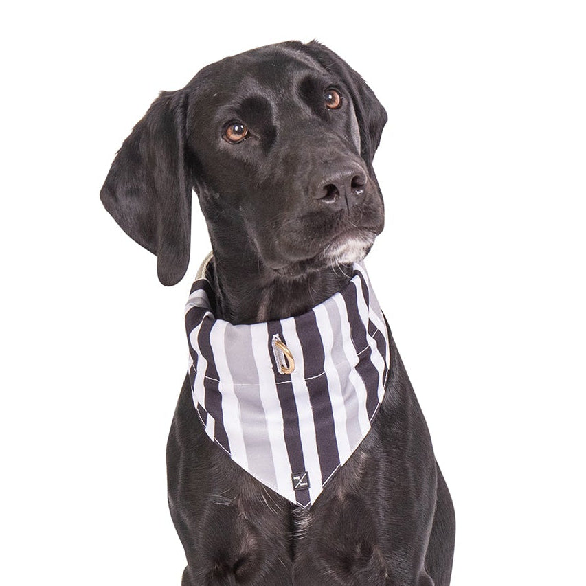 Mog and Bone Designer Dog Bandana - Pebble Black Brush Stroke Print