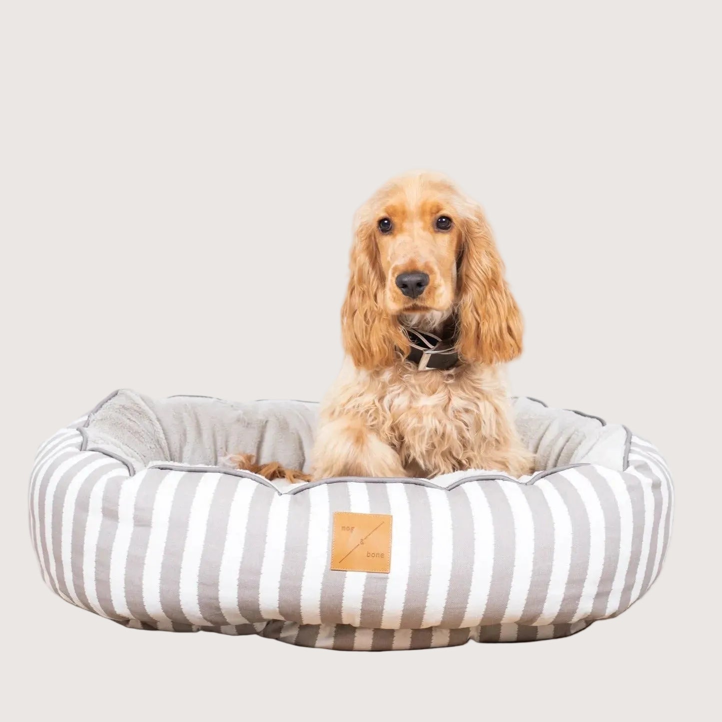 Latte Hampton Stripe Print