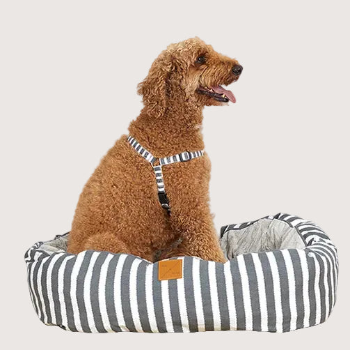 Charcoal Hamptons Stripe Print