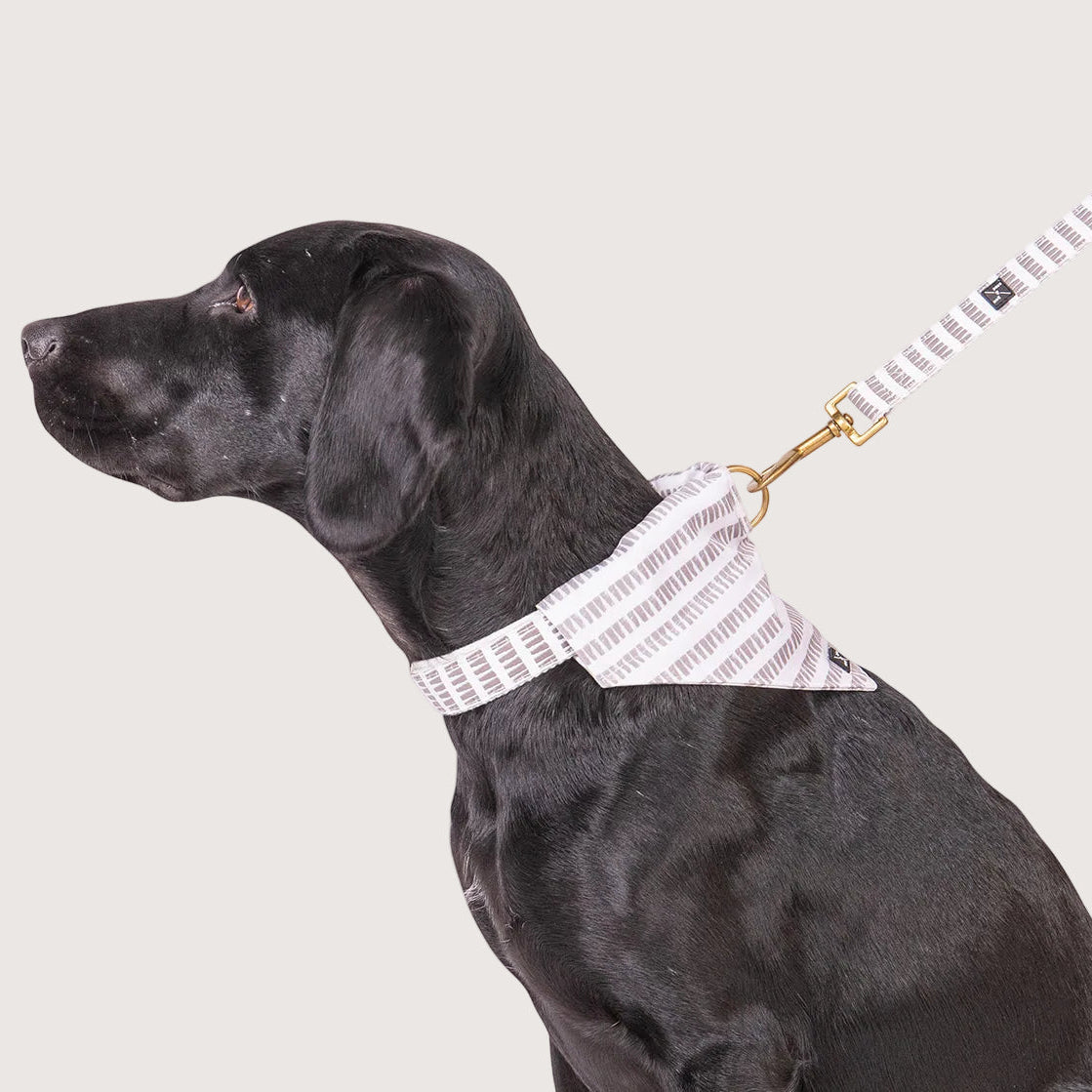 Hemp Dog Collar - Latte Mosaic Print