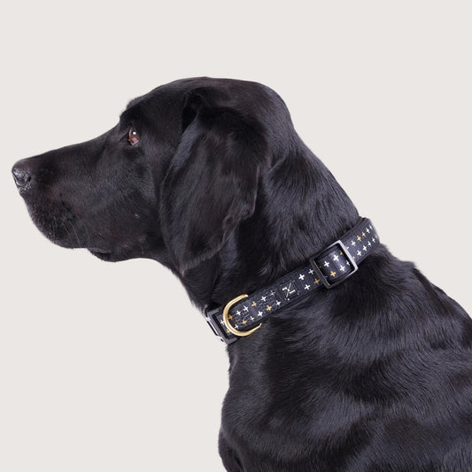 Neoprene Dog Collar - Black Metallic Cross Print