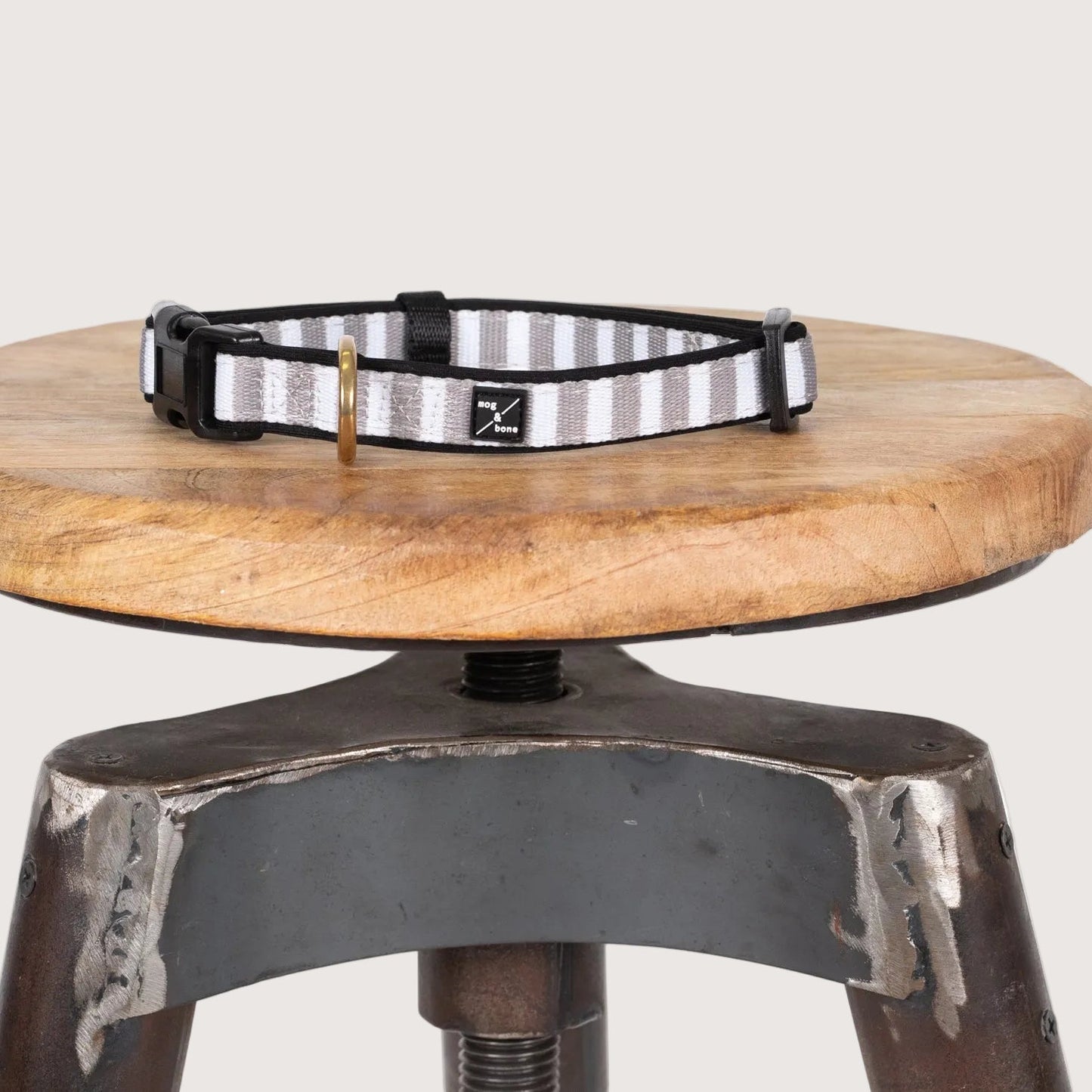 Neoprene Dog Collar - Latte Hamptons Stripe