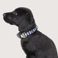 Neoprene Dog Collar - Navy Hamptons Stripe