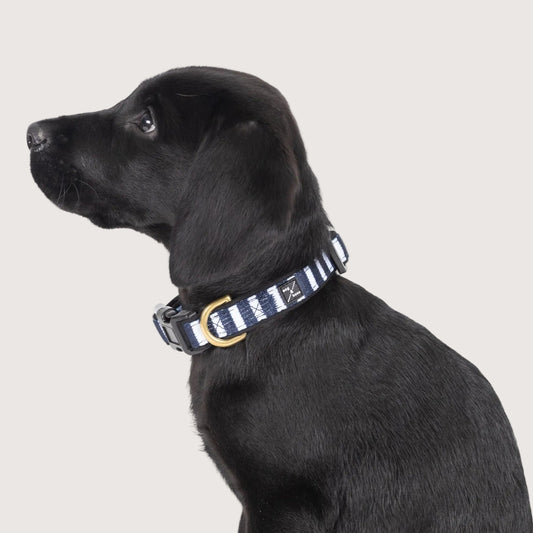 Neoprene Dog Collar - Navy Hamptons Stripe