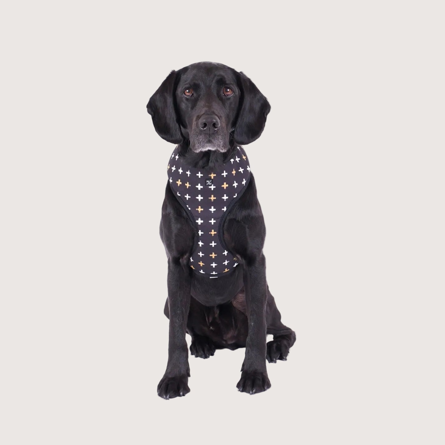 Neoprene Dog Harness - Black Metallic Cross Print