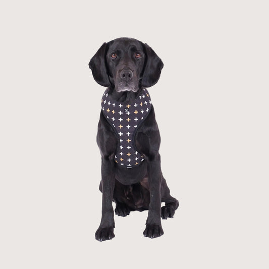 Neoprene Dog Harness - Black Metallic Cross Print
