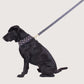 Neoprene Dog Harness - Black Metallic Cross Print