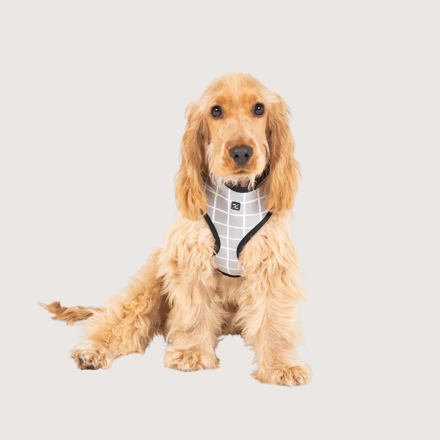 Neoprene Dog Harness - Grey Check