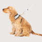 Neoprene Dog Harness - Grey Check
