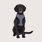 Neoprene Dog Harness - Navy Check