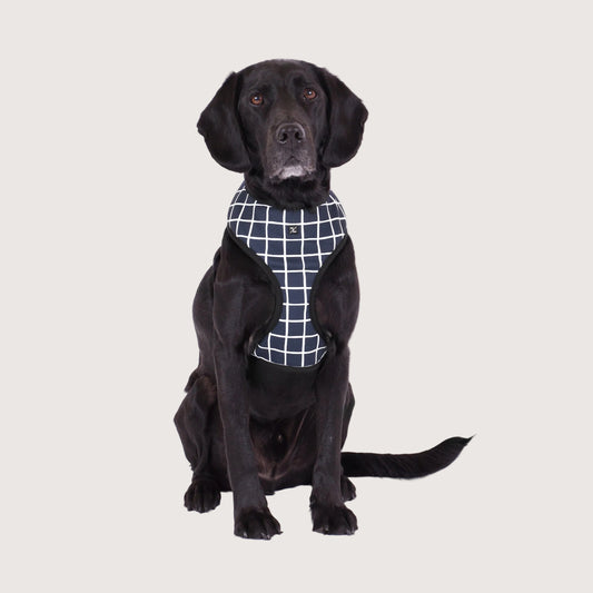 Neoprene Dog Harness - Navy Check