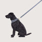 Neoprene Dog Harness - Navy Check