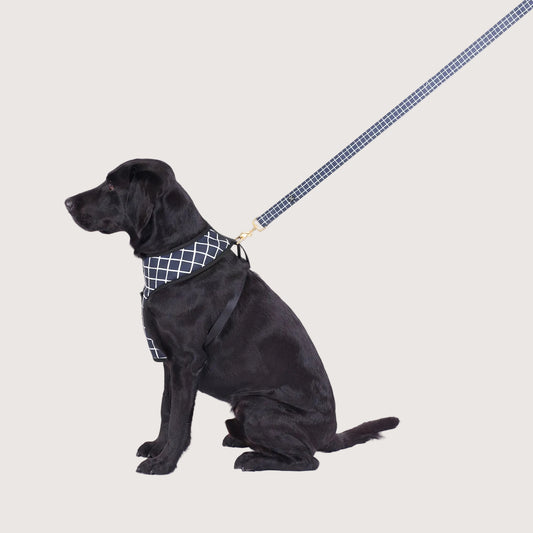 Neoprene Dog Harness - Navy Check