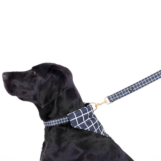 Neoprene Dog Lead - Navy Check