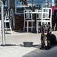 Multi-Function Clip Dog Lead