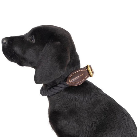 A black dog wearing a black rope and brown genuine leather collar with high quality brass fittings.