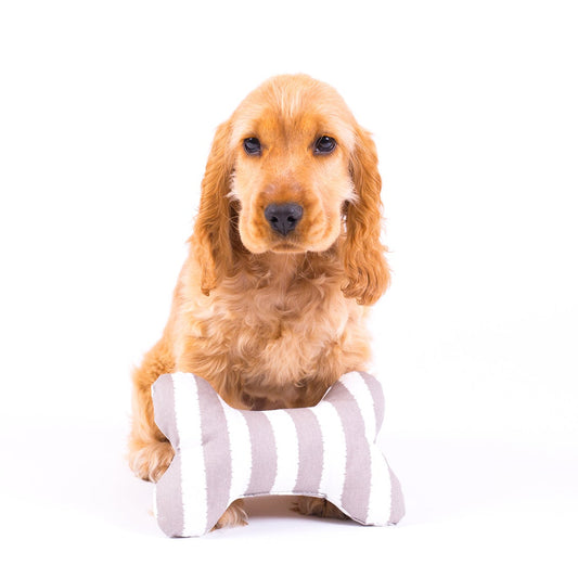 Toy - Bone Shape, soft - Latte Hamptons Stripe