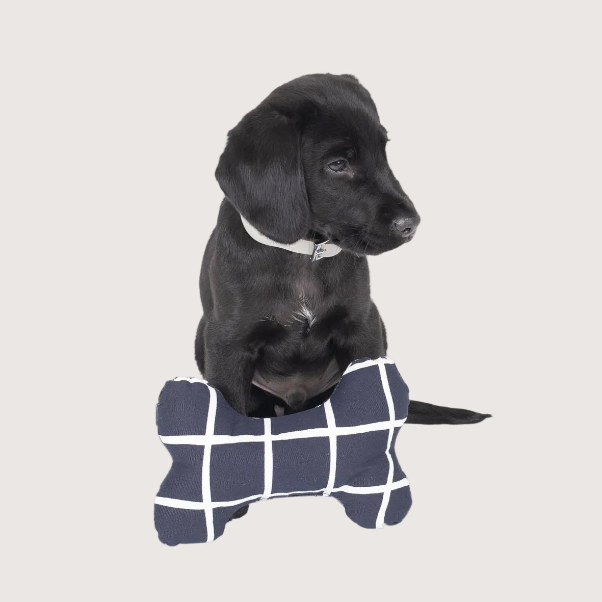 Toy - Bone Shape, soft - Navy Check Print