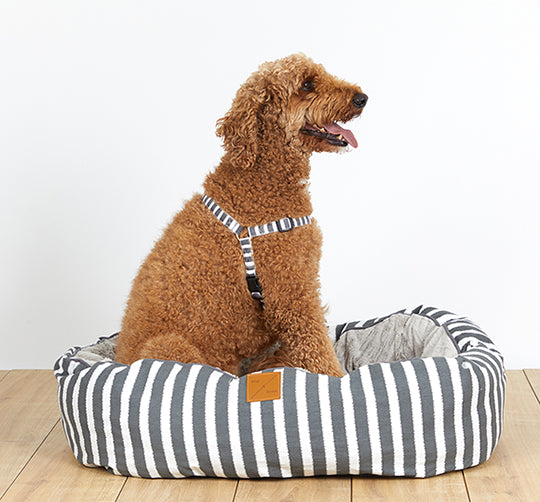 Mog & Bone 4 Seasons Reversible Circular Dog Bed and Dog Harness - Charcoal Hamptons Stripe Print