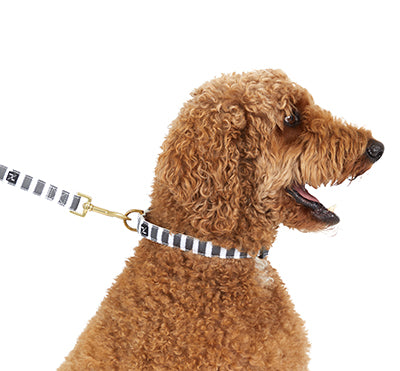 Hemp Dog Collar - Charcoal Hampton stripe