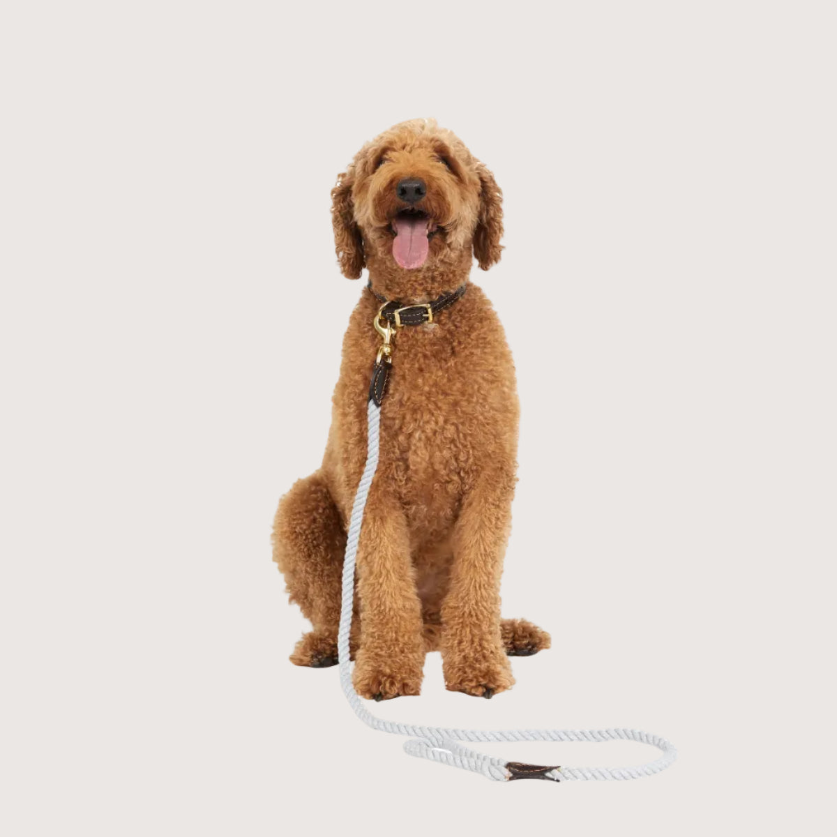 Rope Dog Collar - Grey