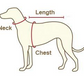 Neoprene Dog Harness - Latte Hamptons Stripe